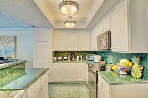 A Serene Senior Living - 5 - kitchen.JPG