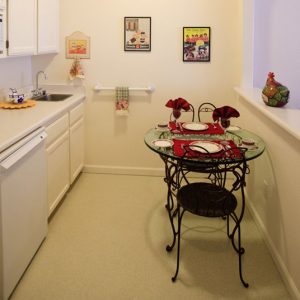 Aegis of Dana Point - 6 - kitchenette.jpg