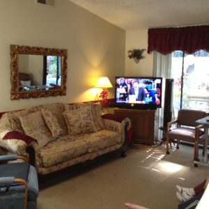 Anaheim Hills Home Care - 4 - living room 2.JPG