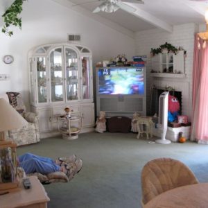 Arbor Cove - 4 - tv room.JPG