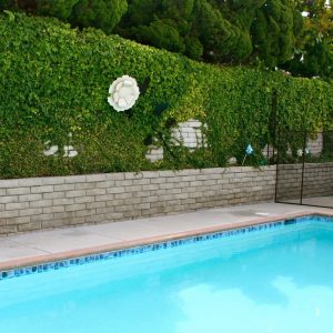 Astoria Retirement at Dover Shores - pool.JPG