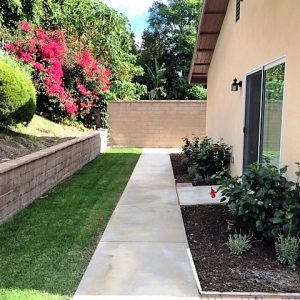 Blue Skies of Laguna Hills - backyard.JPG