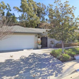 Blue Skies of Laguna Niguel - 1 - street view.JPG