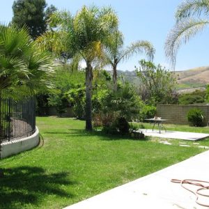 Camino Hills of San Clemente - yard 2.jpg