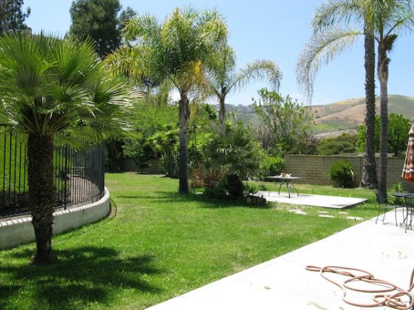 Camino Hills of San Clemente - yard 2.jpg