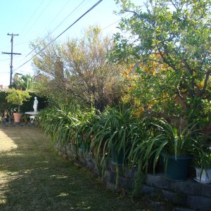 Concordia Guest Home II - back yard.JPG