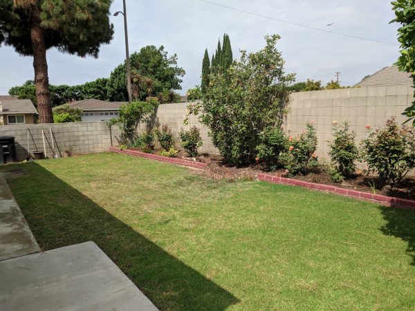 Diamond Senior Care - back yard.jpg