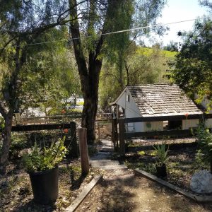 Family Care - Buckboard Home - 5 - horse barn.jpg