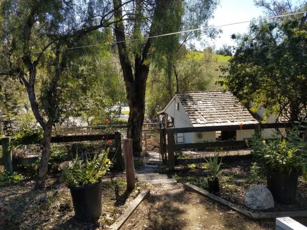 Family Care - Buckboard Home - 5 - horse barn.jpg