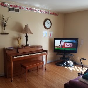 Family Care - El Mar Home - 4 - entertainment room.jpg