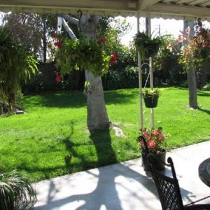 Family Home Care - 6 - back patio.jpg