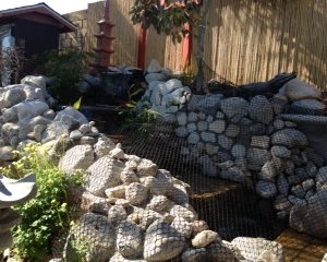 Gentle Care Home - 6 - koi pond.jpg
