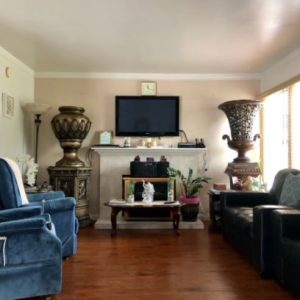Huntington Beach Guest Home II - 3 - living room.JPG