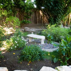 Irvine Cottage II - 3 - garden.jpg