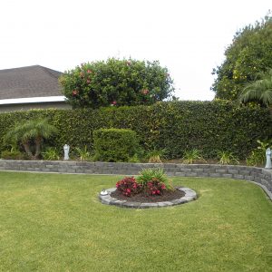 Ivy Cottages III - yard.jpg