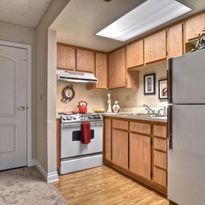 Las Palmas - apartment kitchen.jpg