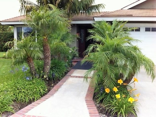 Matsonia Lane Homes - front walkway.jpeg