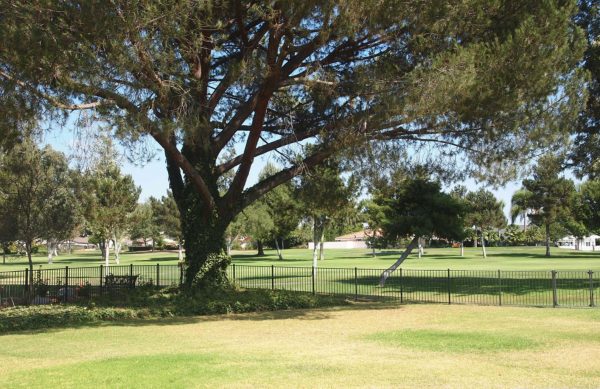 New Horizon Board and Care I - 6 - Back yard.JPG