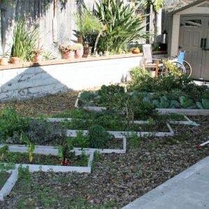 Niguel Hills Villa II - 6 - garden.JPG