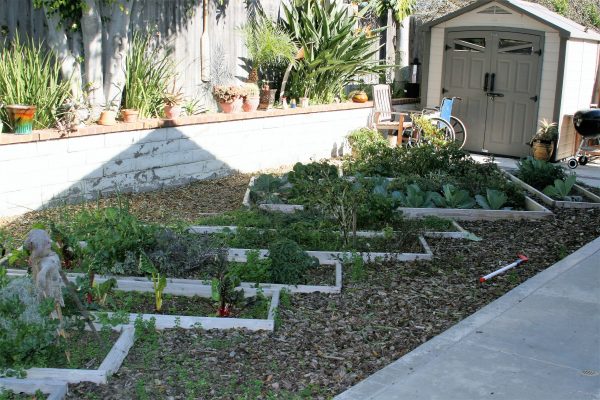 Niguel Hills Villa II - 6 - garden.JPG