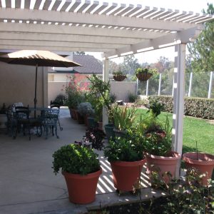 Pacific Breeze Home I - back patio.jpg