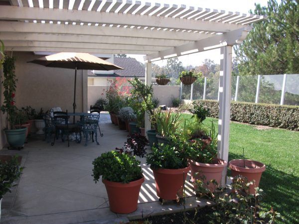 Pacific Breeze Home I - back patio.jpg