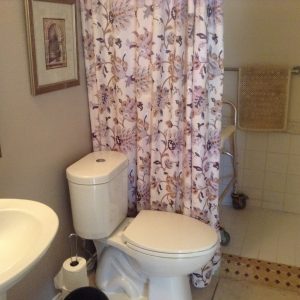 Paradise Residential Senior Care IV - roll in shower.JPG