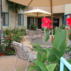 Park Regency Retirement Center - 6 - patio.JPG