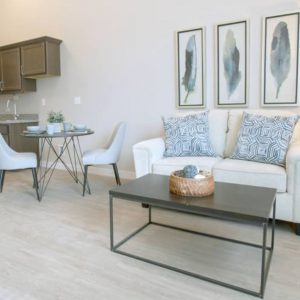 Park View Estates - 5 - apartment living room.JPG