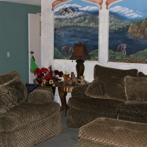 Saddleback FMJ I Elderly Care Home - 3 - living room 2.JPG