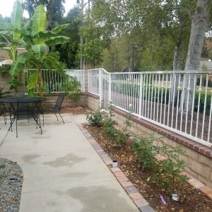 Sandy Creek Care Home - backyard.jpg