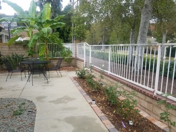 Sandy Creek Care Home - backyard.jpg