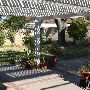 Serene Valley Care Home - 6 - patio.JPG