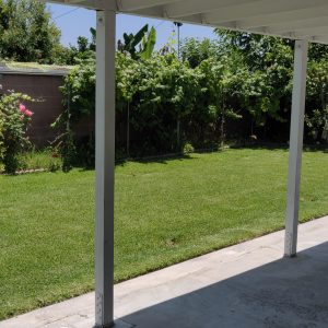 Sunnyvale - garden 2.jpg