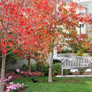 The Covington - outside bench.jpg