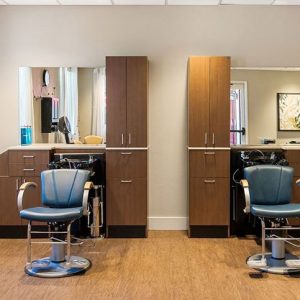 Woodbridge Terrace - 6 - salon.JPG