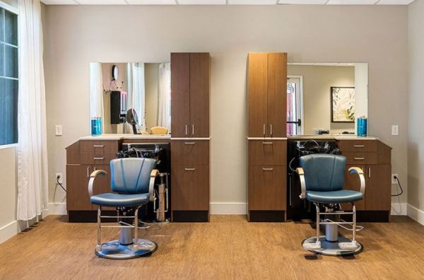 Woodbridge Terrace - 6 - salon.JPG