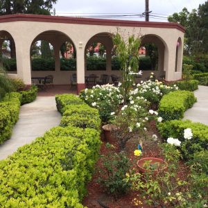 Crescent Landing at Santa Ana Memory Care rose garden.JPG