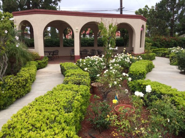 Crescent Landing at Santa Ana Memory Care rose garden.JPG