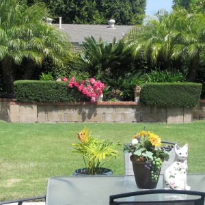 Fountain Valley Care Home Inc. 5 - back yard.jpg