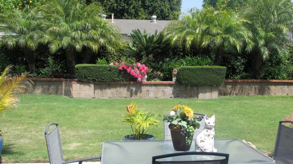 Fountain Valley Care Home Inc. 5 - back yard.jpg