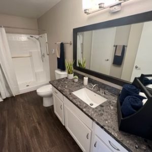 Ivy Park at Laguna Woods 6 - Apartment bathroom.jpg