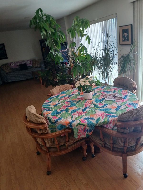 star-dust-home-3-dinning-table.jpeg