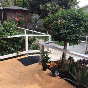 star-dust-home-6-backyard.jpg
