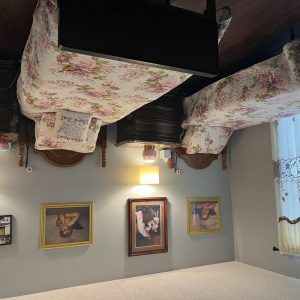 saddleback-fmj-ii-elderly-care-home-img1663.jpeg