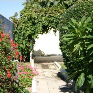 a-touch-of-care-senior-home-4-courtyard.jpg