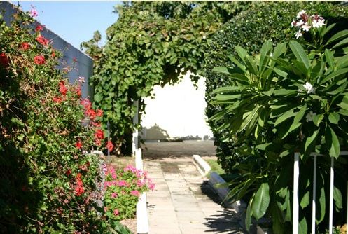 a-touch-of-care-senior-home-4-courtyard.jpg