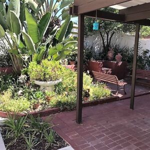 aberdeen-terrace-6-garden-patio.jpg