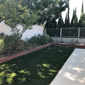 aberdeen-terrace-yard.jpg
