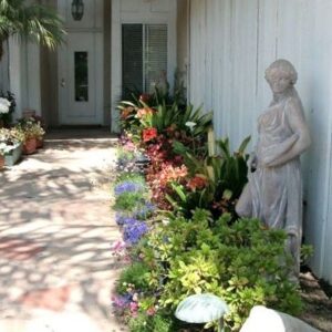 accent-on-seniors-front-door.jpg